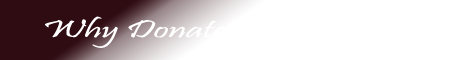 Why Donate